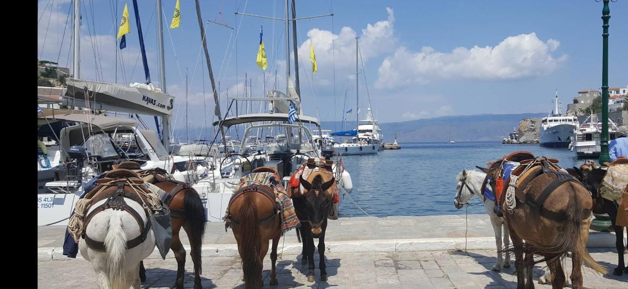 Villa Ada Ύδρα Δωμάτιο φωτογραφία